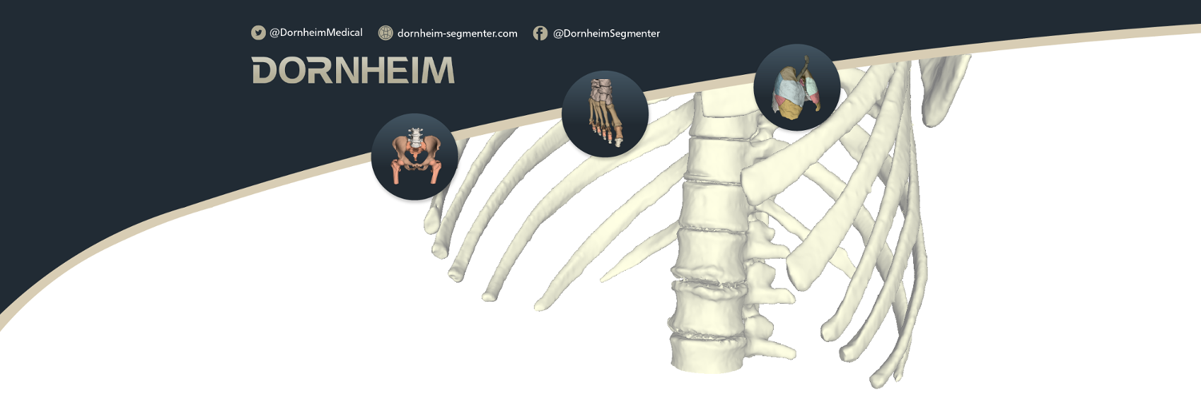 Dornheim Anatomy