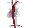 ArterienButton.png