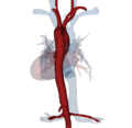 ArterienButton.png